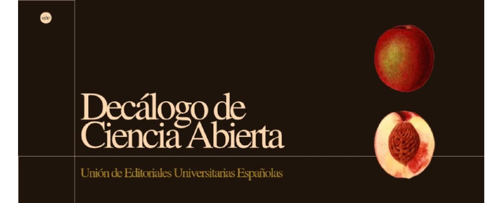 Acceso Abierto